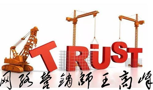 王高峰師自述 網(wǎng)絡文化經(jīng)營之路，四川網(wǎng)絡營銷師的挑戰(zhàn)與突圍